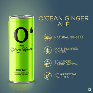 Ocean Natural Mixers - Ginger Ale